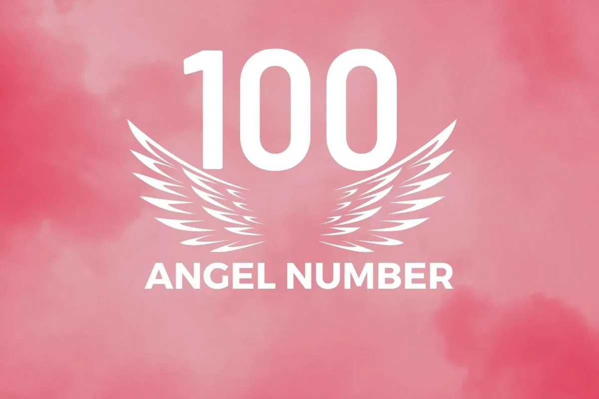 What Is The Number 100 Represent