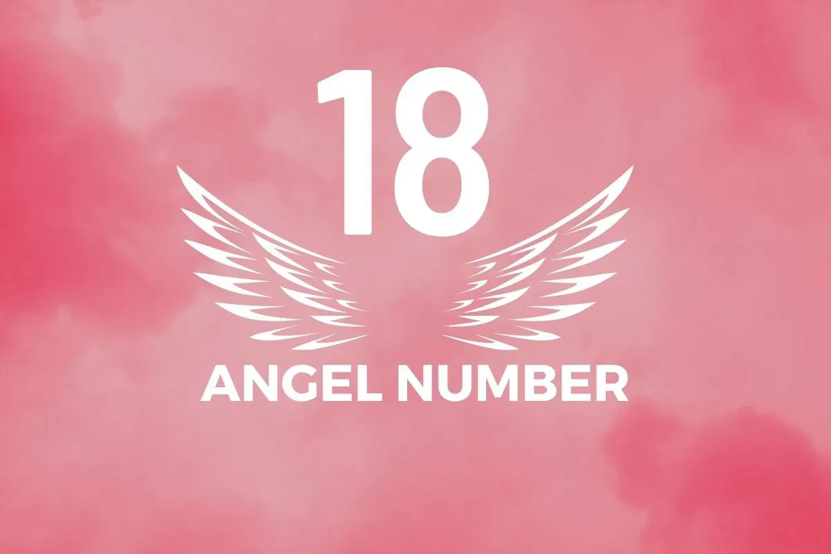 Angel Number 18 Meaning And Symbolism - Blackbird