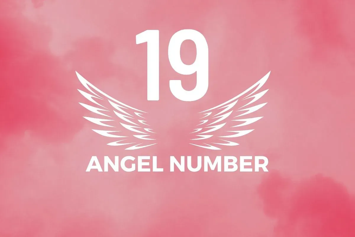 Angel Number 19 Meaning And Symbolism - Blackbird