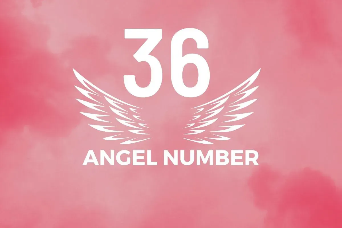 Angel Number 36 Meaning And Symbolism - Blackbird