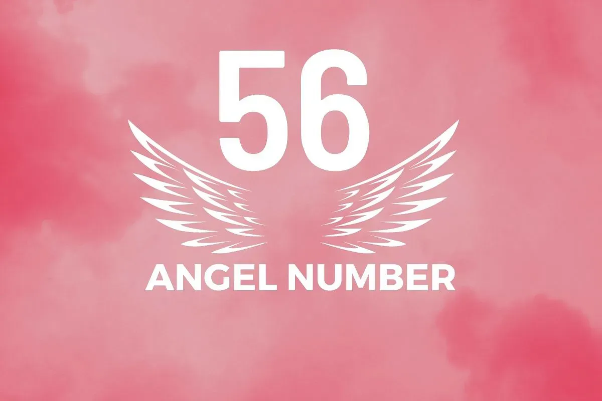 Angel Number 56 Meaning And Symbolism - Blackbird