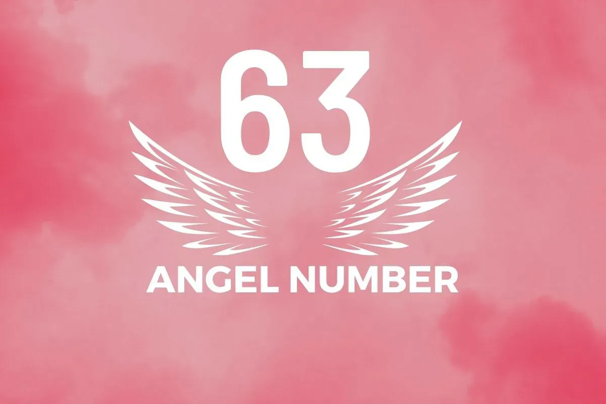 Angel Number 63 Meaning And Symbolism - Blackbird